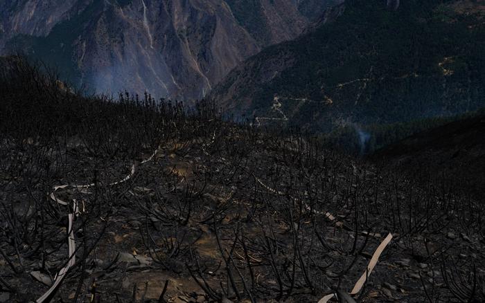 直击木里山火：村民连夜送水至火场，消防员扑灭百年大树火点