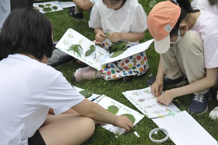 《十万个为什么》推出“寻找树叶精灵”植物研学课