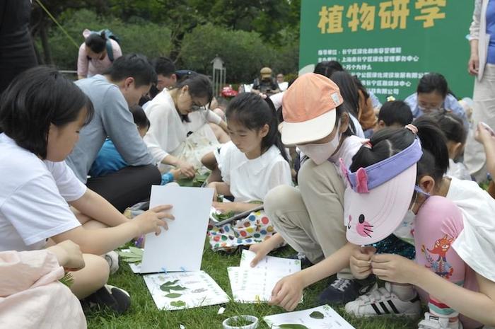 《十万个为什么》推出“寻找树叶精灵”植物研学课