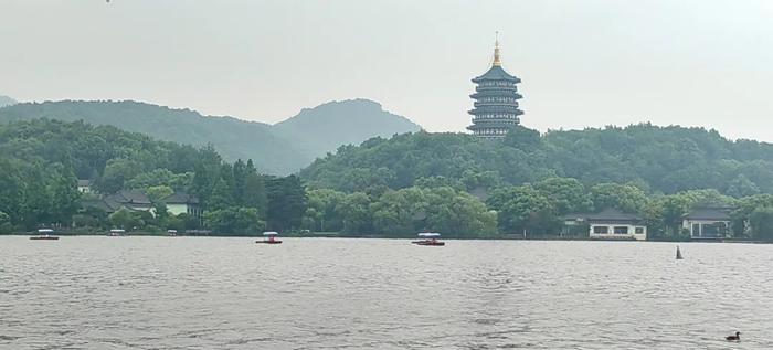 短时暴雨、7～9级雷雨大风！杭州上线“蒸煮模式”，高考期间天气很复杂……