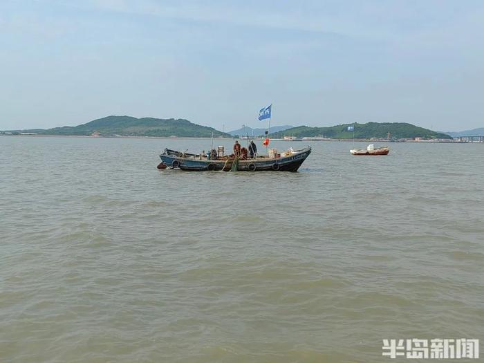 你贵姓？青岛海边，捞上来几千斤…叫不上名的生猛海鲜！没上岸就被抢完！网友盯了半天：你是象拔蚌的弟弟吗？