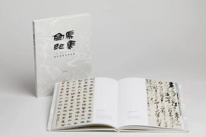 赵正科《白马非马》：传统书法和当代摄影的结合