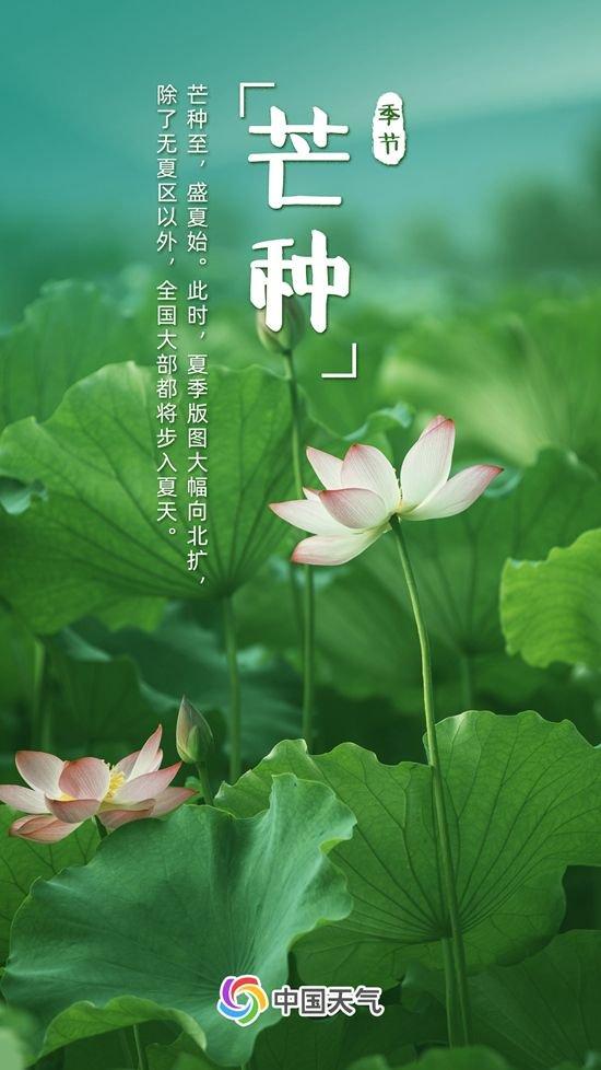 芒种忙种！雨水充沛高温频发，全国夏收地图看哪里需加紧麦收