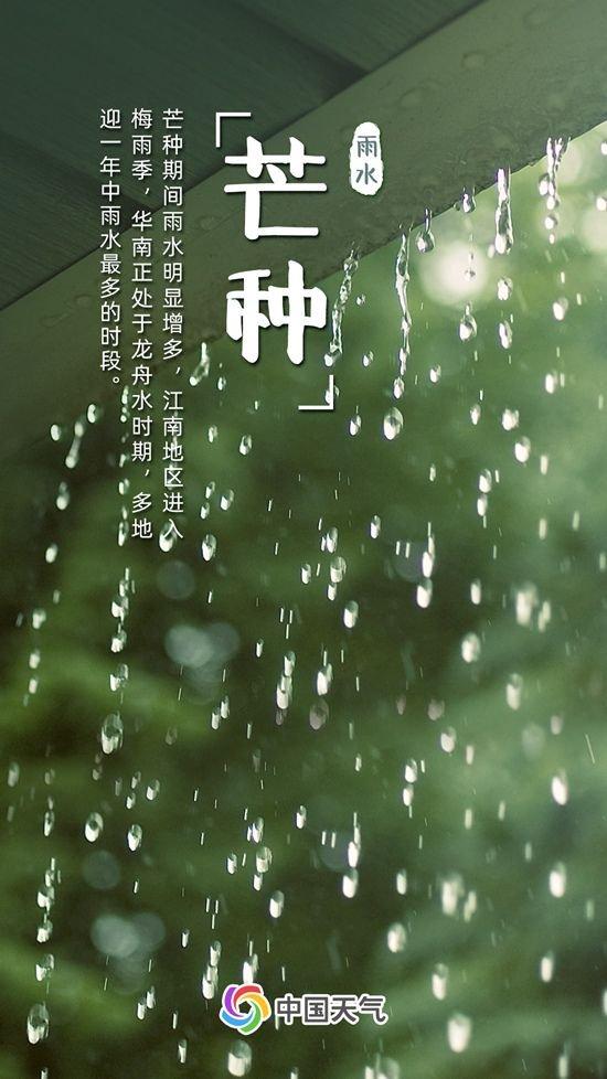 芒种忙种！雨水充沛高温频发，全国夏收地图看哪里需加紧麦收