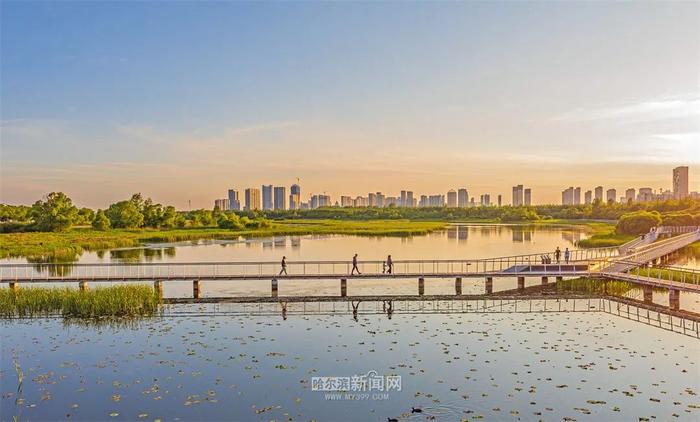 冰城高考天气表来啦！高考期间凌晨至上午风力较小、湿度大，局地容易出现雾