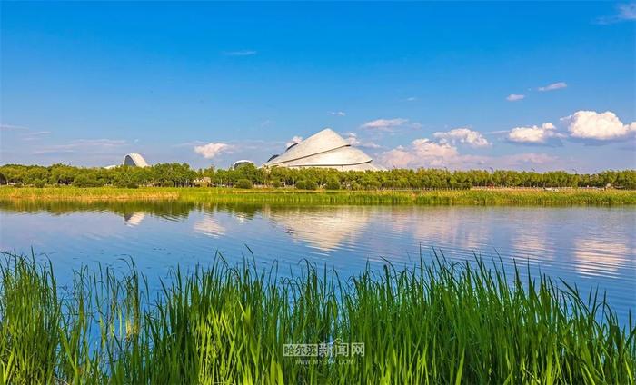 冰城高考天气表来啦！高考期间凌晨至上午风力较小、湿度大，局地容易出现雾