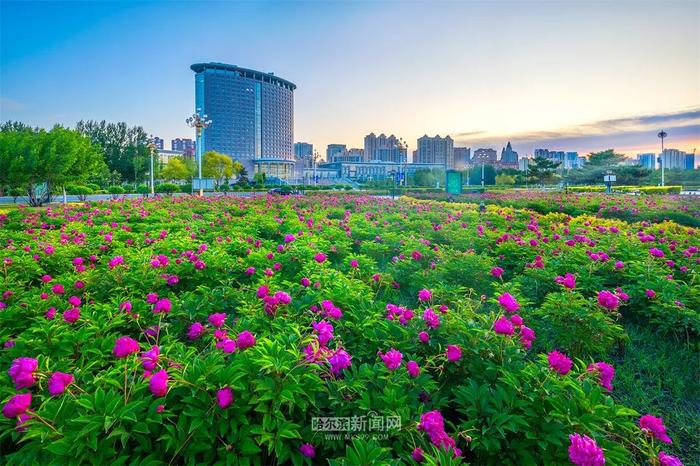 冰城高考天气表来啦！高考期间凌晨至上午风力较小、湿度大，局地容易出现雾