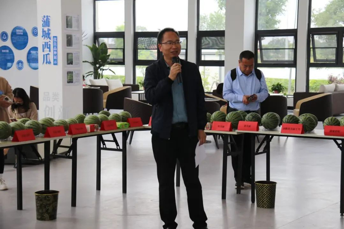 同台“竞味”!蒲城西甜瓜用品质“说话”