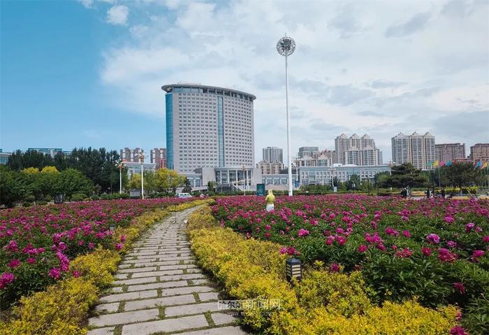 冰城高考天气表来啦！高考期间凌晨至上午风力较小、湿度大，局地容易出现雾