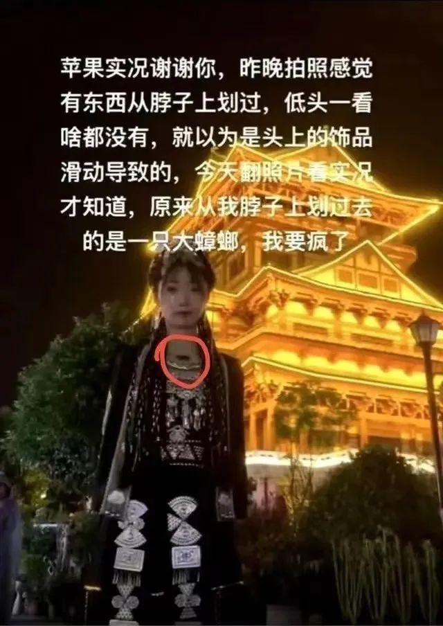 售后困难、同质化严重，在景区拍写真值不值？江苏消保委回应