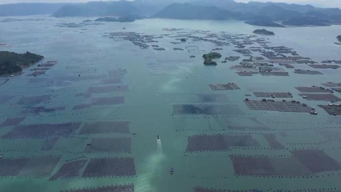 警惕压载水携物种“漂洋过海”——远洋船舶压载水调查