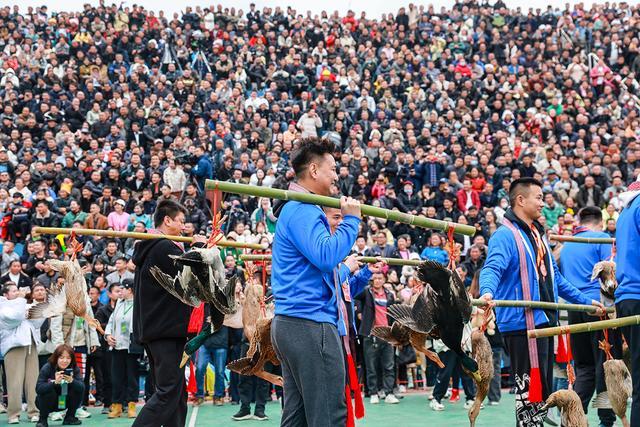 图说｜全国“村BA”：高手在民间，哪个省能夺十月总冠军