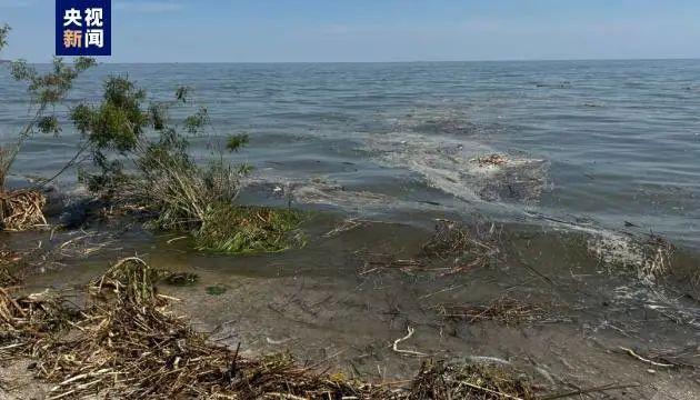 乌媒：黑海海水盐度急剧下降