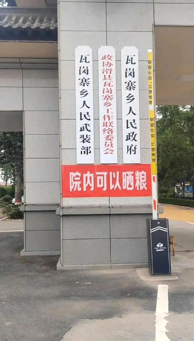 乡政府院内的金色“地毯”，这是我见过最好的装修！