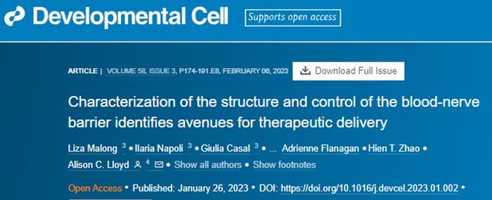 前沿 | 解决神经系统药物递送难题，伦敦大学团队发现突破血神经屏障的关键