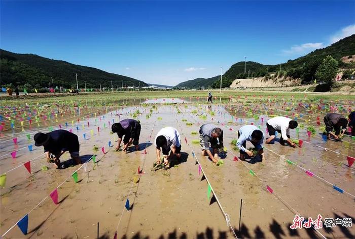 庆阳市合水县：树优势 活思路 文农旅融合“出圈”