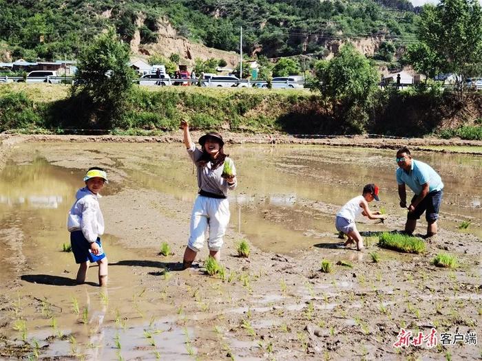 庆阳市合水县：树优势 活思路 文农旅融合“出圈”