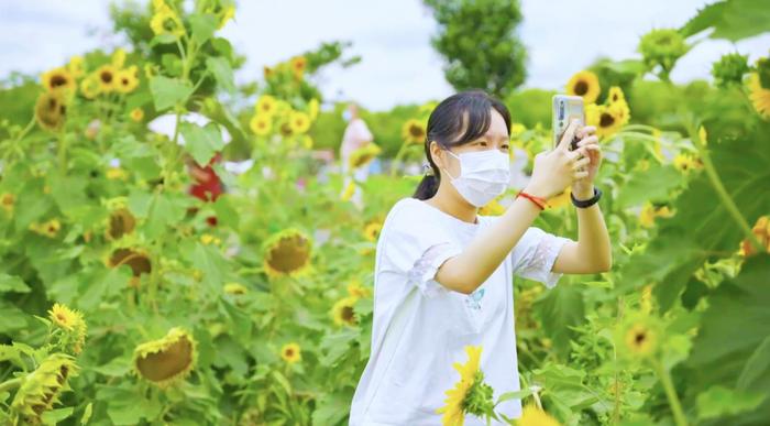 【探索】朱家角古镇、青溪古镇……夏日上海热门古镇清凉玩法在此→