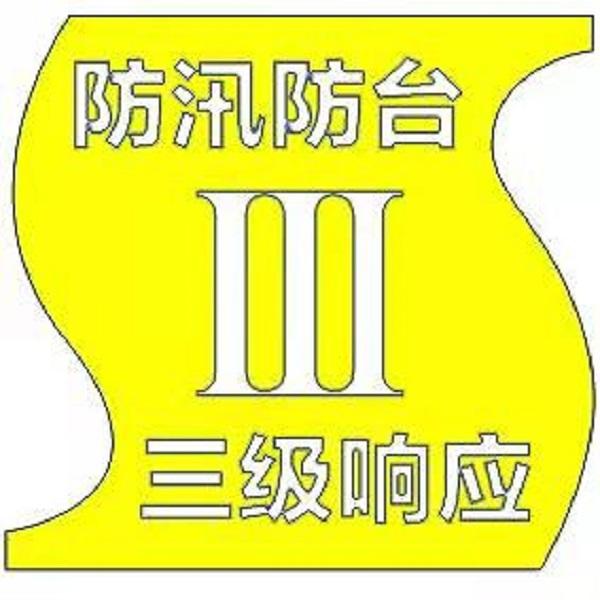 这雨还要下多久？上海“暴雨+雷电”双黄预警高挂，启动防汛防台三级响应行动