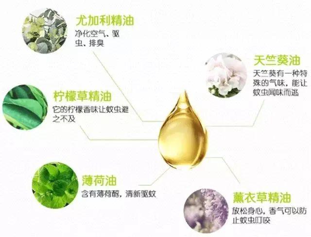 99元3罐|摆放就能驱蚊，就像“隐形蚊帐”，一罐用百天