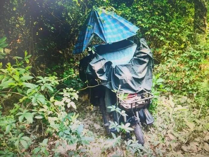 橡胶林内发现的破旧三轮车