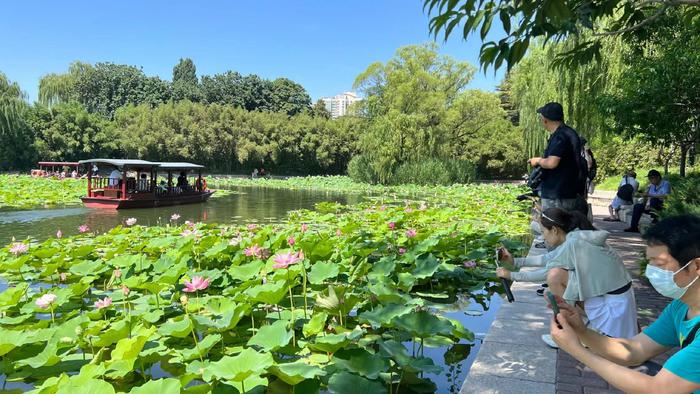 端午期间，北京市公园管理中心推荐16处网红打卡地