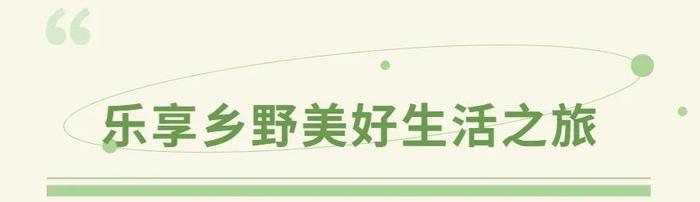 端午去哪玩？海口琼山区这些精彩不容错过！