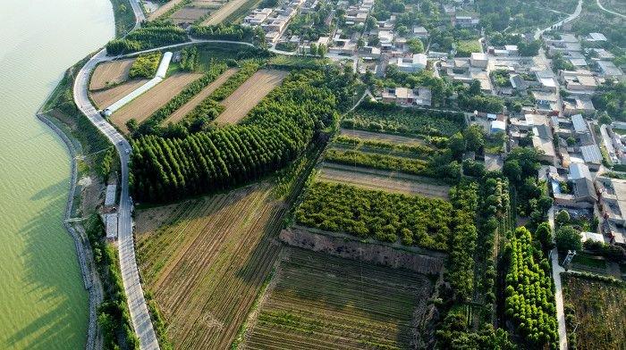 黄河一号旅游公路平陆段，夏日景色壮美