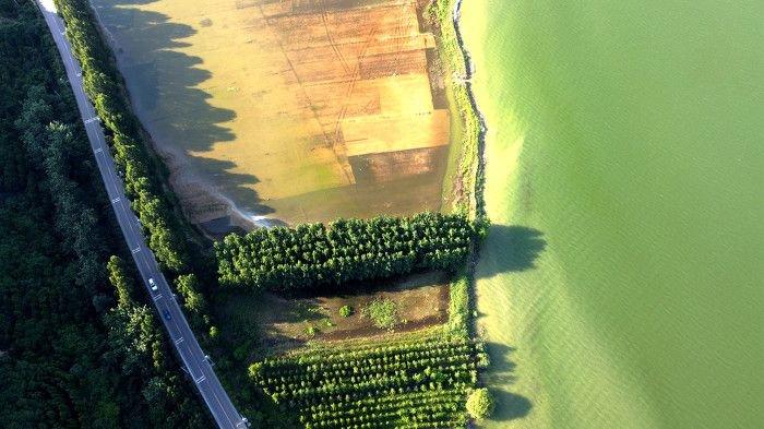 黄河一号旅游公路平陆段，夏日景色壮美