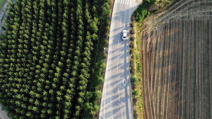 黄河一号旅游公路平陆段，夏日景色壮美