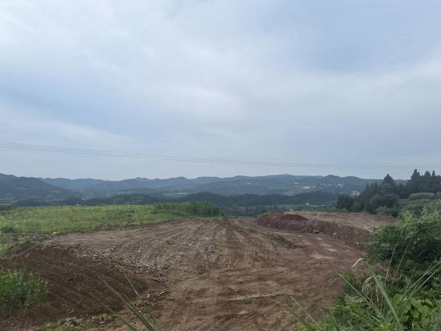 非法占用耕地、林地、草地资源，四川公安公布破坏土地资源典型案例