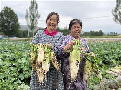 一天500吨！青海本地菜迎来销售旺季