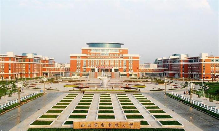 2024年QS世界大学排名公布：陕西这四所高校上榜