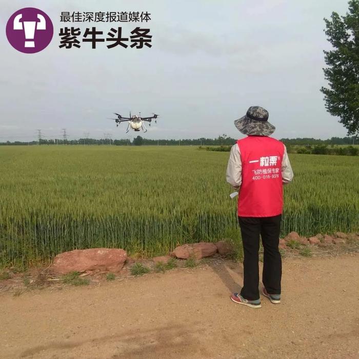 【紫牛头条】呼叫飞机！小伙开发智慧农业平台，让无人机飞手接单为农民干活