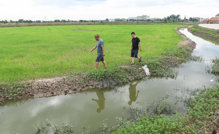 新时代中国调研行·长江篇丨野水荒滩“古雷池” 秀美安澜新高地