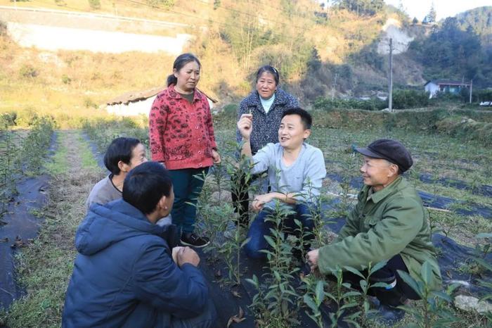 中国铁塔在2022年度中央单位定点帮扶工作成效考核评价中荣获最高等次