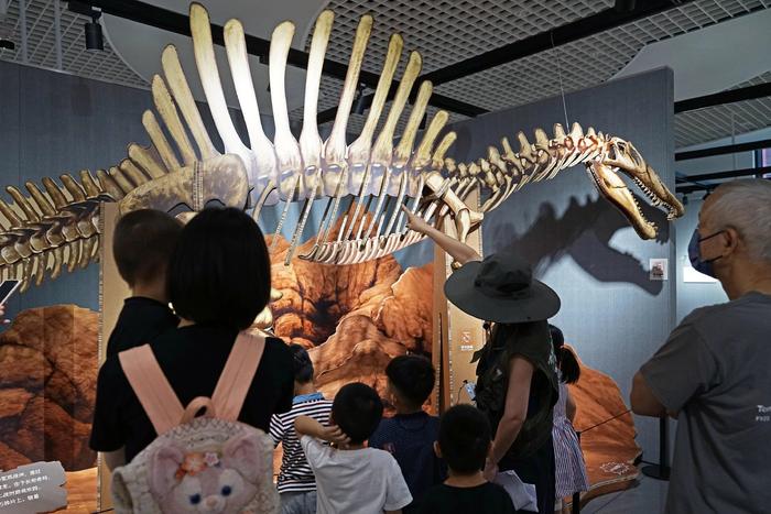 来这里“复活”一只恐龙，市群艺馆新展解读恐龙的奥秘