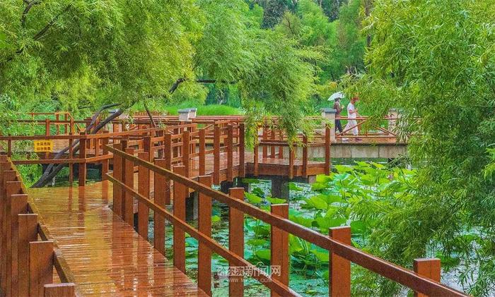 周一哈市主城区中雨转阵雨，或对早高峰出行有影响