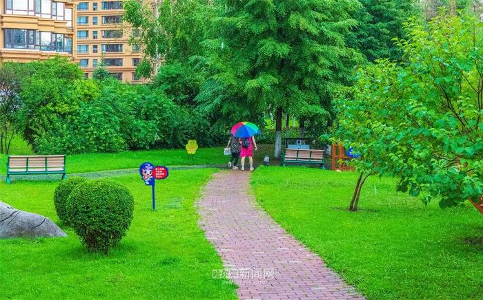 周一哈市主城区中雨转阵雨，或对早高峰出行有影响