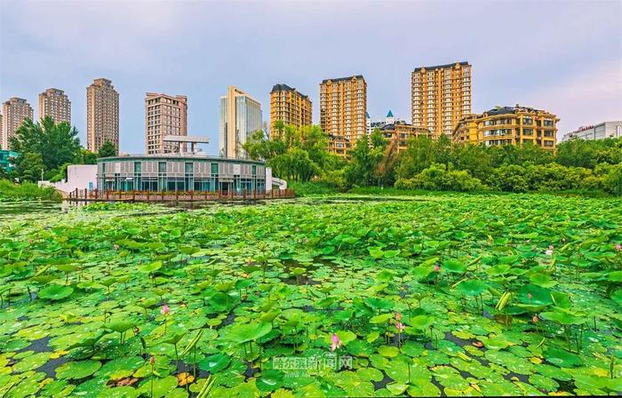 周一哈市主城区中雨转阵雨，或对早高峰出行有影响