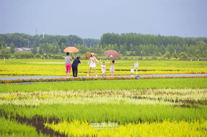 周一哈市主城区中雨转阵雨，或对早高峰出行有影响