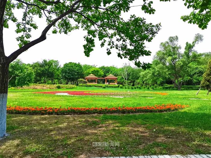 周一哈市主城区中雨转阵雨，或对早高峰出行有影响