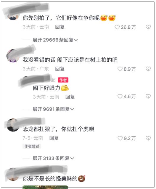 男子在云南玉溪采菌遇到3只老虎？？？官方回应