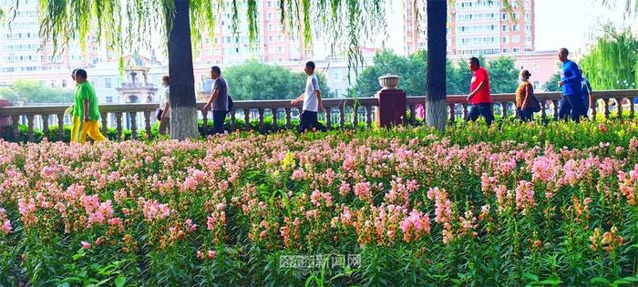 周一哈市主城区中雨转阵雨，或对早高峰出行有影响