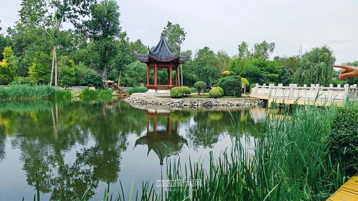 周一哈市主城区中雨转阵雨，或对早高峰出行有影响