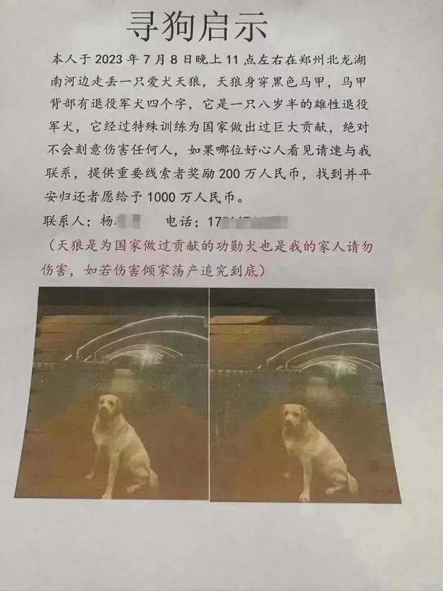 “天价寻狗启事”事件，最新后续