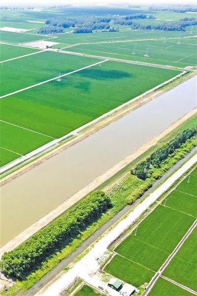 黑龙江青龙山灌区——  三江奔流处 万顷稻米香（美丽中国·关注生态型灌区②）