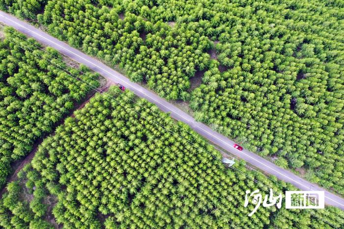 中国最美公路——提档升级的草原天路你来过吗？