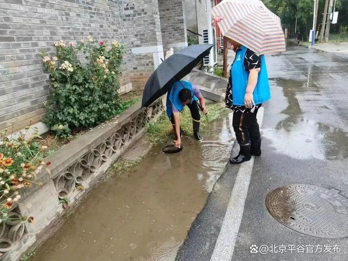 雨中，平谷有这样一群可爱的人→