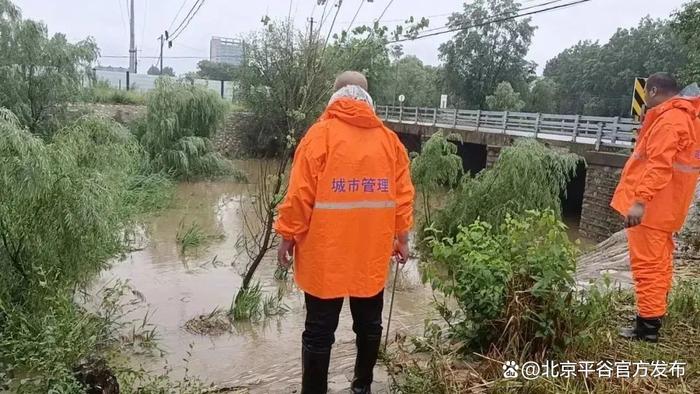 雨中，平谷有这样一群可爱的人→